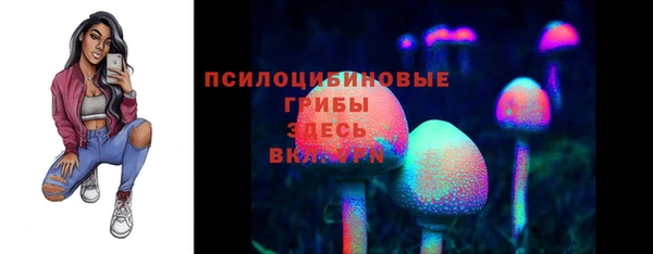 дживик Корсаков
