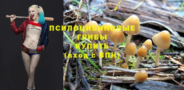 дживик Корсаков