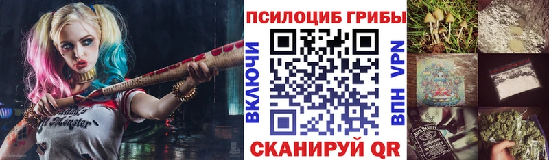 Купить закладки  Краснокаменск  Галлюциногенные грибы GOLDEN TEACHER 